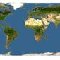 Discover Life: Point Map of Digitaria biformis